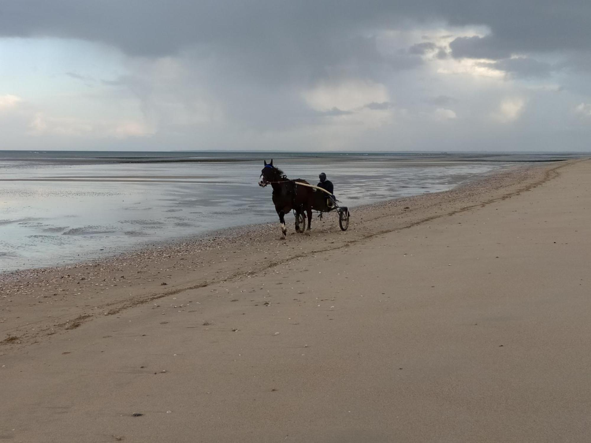 Apartment Arromanches: Beachfront Retreat Near Bayeux *